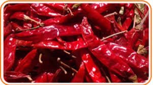 chilli (red chili powder & whole chillies)