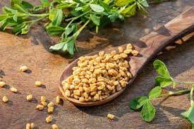 fenugreek (methi)