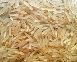 pusa basmati 1509